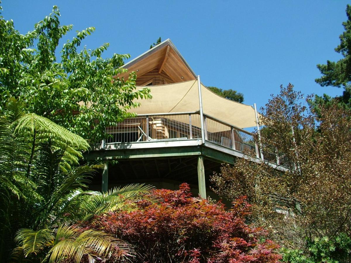 Waiotahi Valley Lodge 泰晤士 外观 照片
